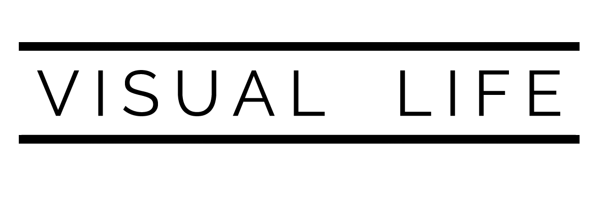 cropped visual life must png.png